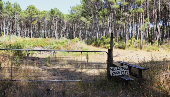 fiona-jackson-32fyOW8kn3c-unsplash_adobespark